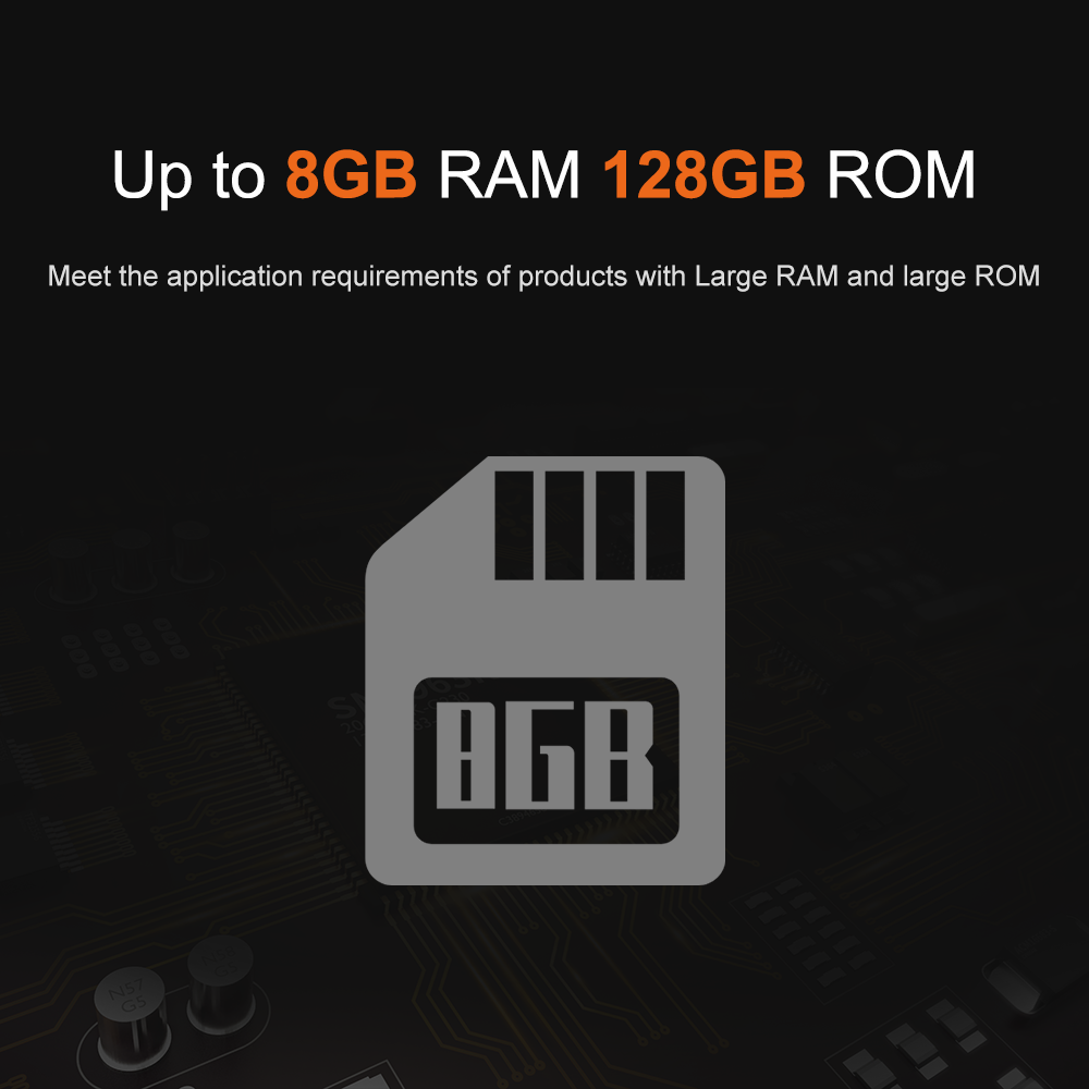 Liontron RK3566 DDR4 8GB RAM A - Open Vending Machine recensione e prezzo